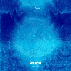 WONK_Signal.jpg