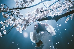 Aimer、"劇場版「Fate/stay night [Heaven's Feel]」Ⅲ.spring song"主題歌「春はゆく」浜辺美波出演のフルMV公開