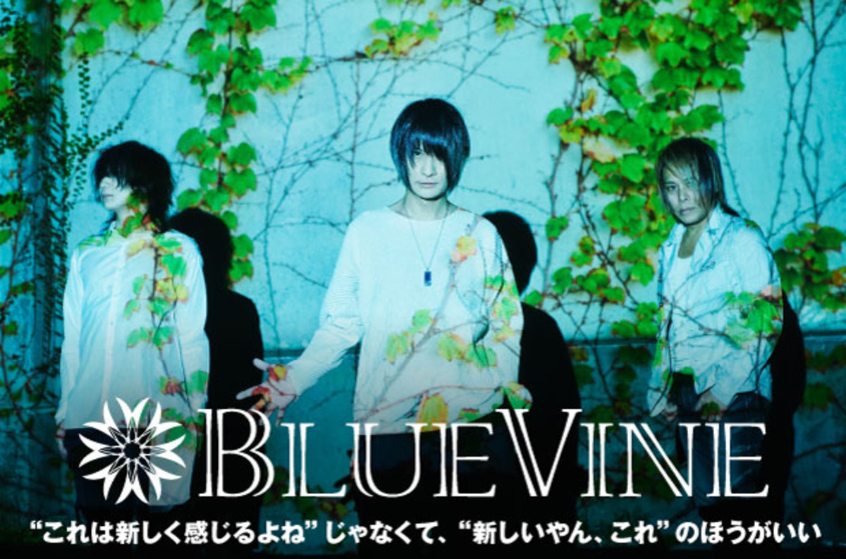 生熊耕治 Cune 赤松芳朋 Sophia Etc Aki Sadie Axessory によるバンド Bluevineのインタビュー公開 歌を中心に置きつつ様々なサウンド アプローチで魅せる初ミニ アルバムをリリース