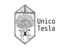 amiinAを含めた新プロジェクト"Unico Tesla"始動