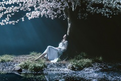 Aimer、劇場版"「Fate/stay night [Heaven's Feel]」Ⅲ.spring song"公開日決定記念し3部作全主題歌を収録した限定盤CDリリース。最終章主題歌「春はゆく」新アレンジ版の収録／配信も決定