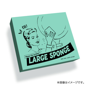 nigami17_o_sponge.jpeg