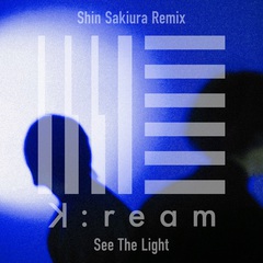 See The Light_Remix_H1.jpg
