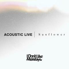 sunflower_acousticLive.jpg