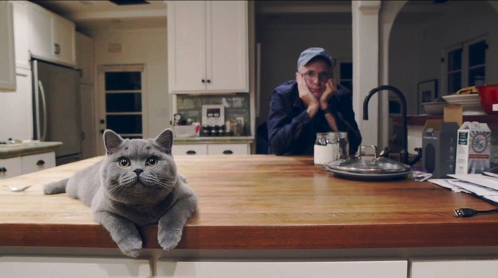 TRAVIS、ニュー・アルバム『10 Songs』より「Nina's Song」MV公開。フロントマン Fran Healyの愛猫も参加