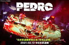 PEDROのライヴ・レポート公開。PEDROで"人間になれた"――これまでの集大成と言える一級品の音楽を届けると同時に、新たな始まりを感じさせた初の日本武道館公演をレポート
