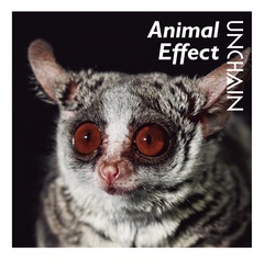 unchain_animal_effect.jpg