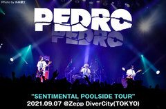 PEDROのライヴ・レポート公開。"PEDROは活動休止します"――この先どんなことがあっても生きてやる、やってやるという強い決意を感じさせた、"SENTIMENTAL POOLSIDE TOUR"東京Zepp DiverCity公演をレポート