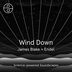 DSP-Endel-WindDown-JB.jpg