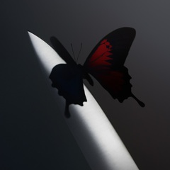 Post_Malone_Butterfly_Knife.jpg