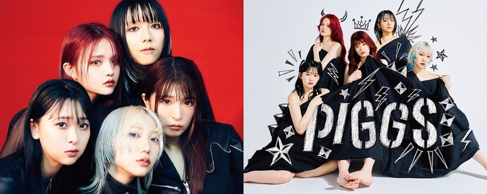PIGGS、"TEAMメジャー"＆"TEAMインディー"のアー写2種類を公開