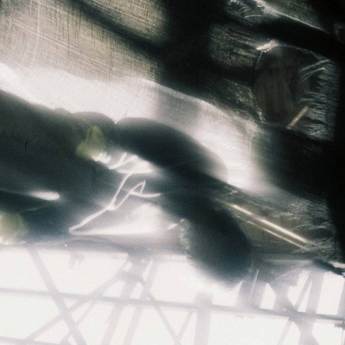 田中タリラ（Dannie May）、ソロ新曲「やめて」配信リリース