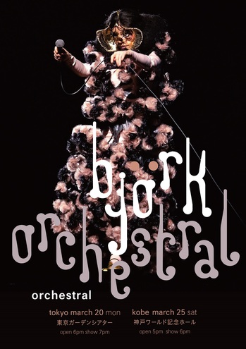 bjork_orchestra_poster.jpg