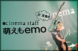 cinema staff、辻 友貴（Gt）のコラム"萌えもemo"第65回公開。"2022年最高だった酒場＆音源"として宇都宮の"ふくべ"やCAROLINEのデビュー・アルバムなどを紹介