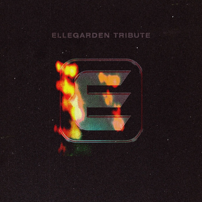 ELLEGARDEN エルレガーデン CD 14枚セット