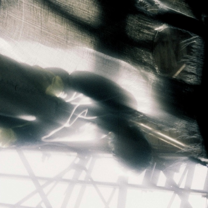 田中タリラ（Dannie May）、約1年半ぶりのソロ作品「天才の遺伝子」配信リリース