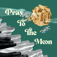 Pray_To_The_Moon.png