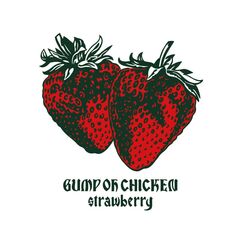 BUMP OF CHICKEN、ニュー・アルバム『Iris』初回限定盤収録