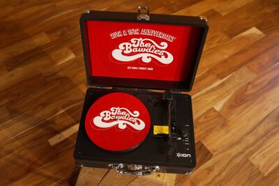 「20th & 15th ANNIVERSARY VINYL PLAYER 」2.jpg