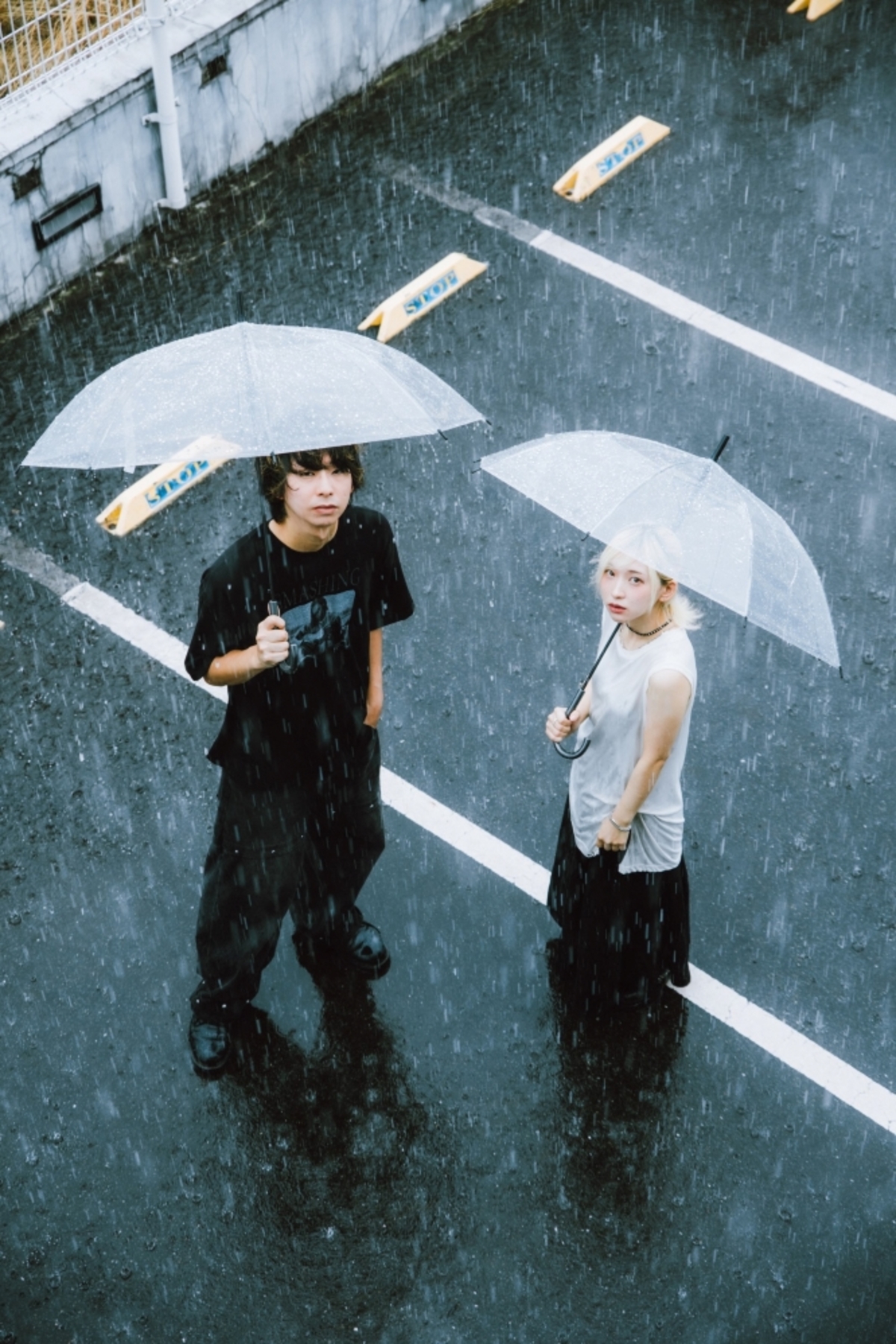 Hakubi_ap-thumb-1200xauto-