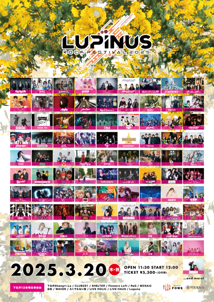 "LUPINUS ROCK FESTIVAL 2025"、第2弾アーティストでQaijff、太田家、GANGDEMIC、Aqilla、RONDONRATS、IrisaVior、MARKET SHOP STORE、日乃まそら等83組発表