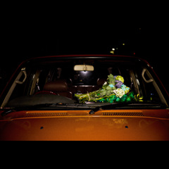 accobin_flowers.JPG