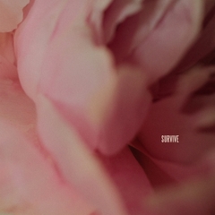 Survive_Artwork.jpg