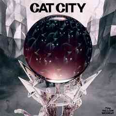 catcity_jkt_b2_min.jpg