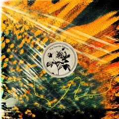 thegentleflower2ndep.jpg