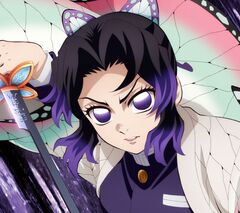 Aimer_taiyo_JK_kikan_RGB.jpg