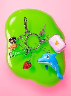 aimyon_dolphinapart_h1_s.jpg