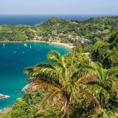 trinidad.jpg