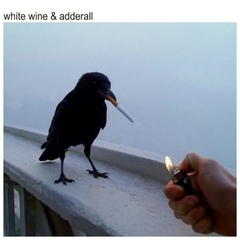 whitewineandadderall_jk.jpg