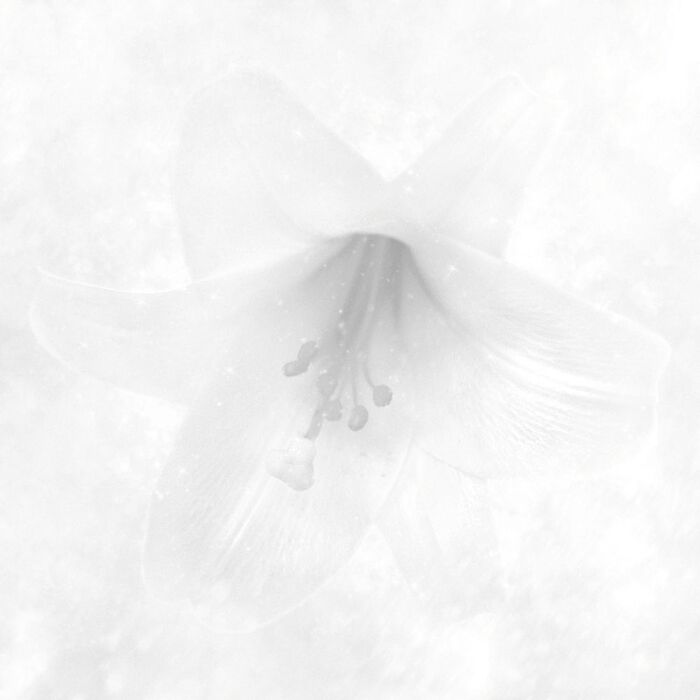 RAY、Mark Gardener（RIDE）等多彩なクリエイター陣並ぶ4thアルバム『White』10/1リリース。京 英一（雪国）提供の先行シングル「天体」本日8/5 24時より配信