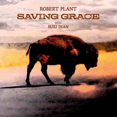 ROBERT PLANT Saving Grace.jpg