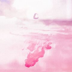 namida_cover.jpg