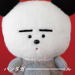 pandagirl_JKT.jpeg
