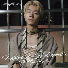 010_yoshizawa.jpg