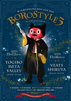 boroSTYLE3_fly_fix.jpg