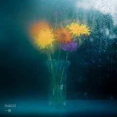 wacci1.jpg