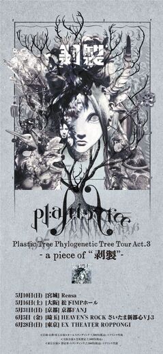 【Plastsic Tree】KVhakusei.jpg