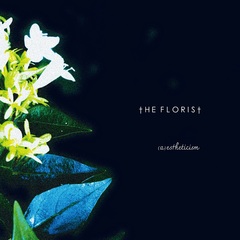 The Florist、美しさ追求した4曲入りEP『(a)estheticism』12/24リリース。DEPECHE MODE「Enjoy The Silence」カバー収録