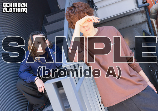 other8_bromideA_sample.jpgのサムネイル画像
