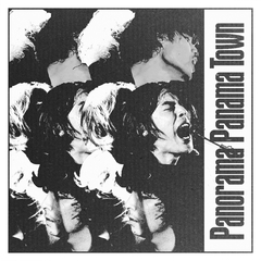 Panorama Panama Town、ライヴ"JUNCTION"下北沢 Flowers Loftにて来年1/30開催決定