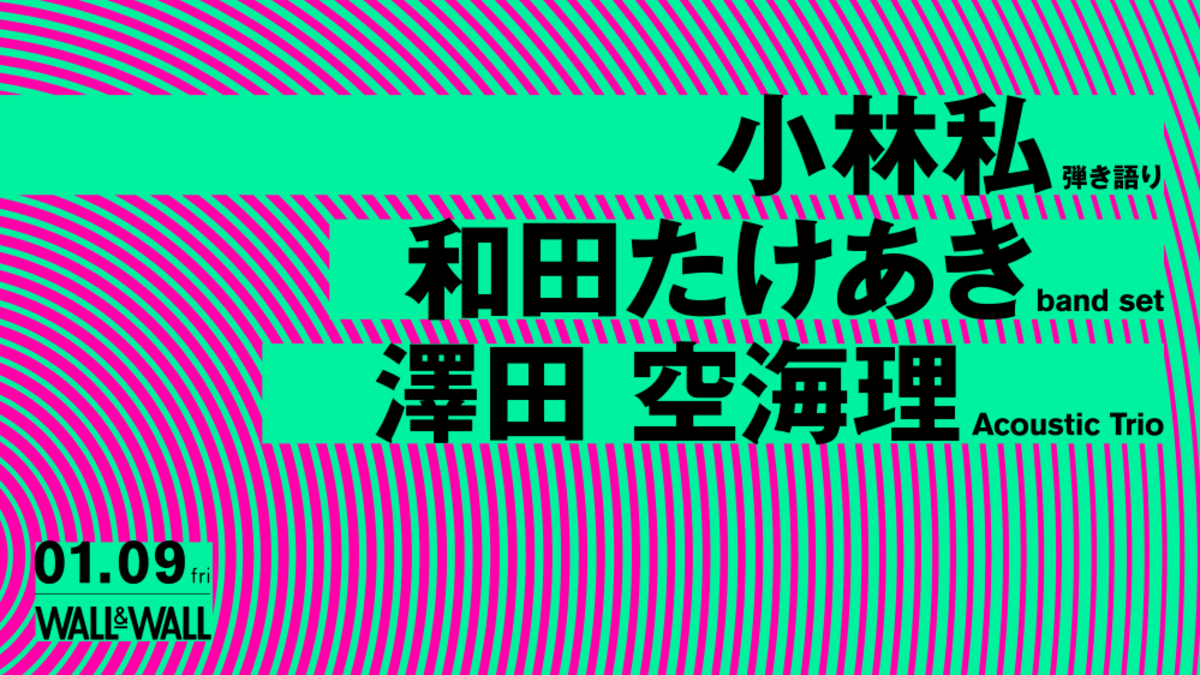 小林私、澤田空海理、和田たけあき、インターネット発アーティスト