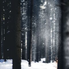 - yukiuta_JK_5000px.jpg