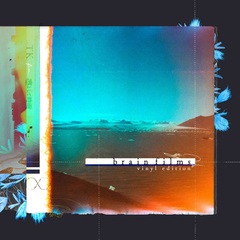 brainfilms-vinyledition-.jpg