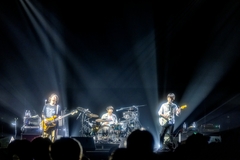 UNISON SQUARE GARDEN、TVアニメ"うるわしの宵の月"OP／ED主題歌シングル『うるわし／アザレアの風』来年1/21リリース決定。ジャケット・デザイン公開