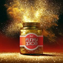 Funky Spice_DigitalJK_WEB.jpg