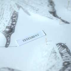 TESTAMENT_Jacket.jpg